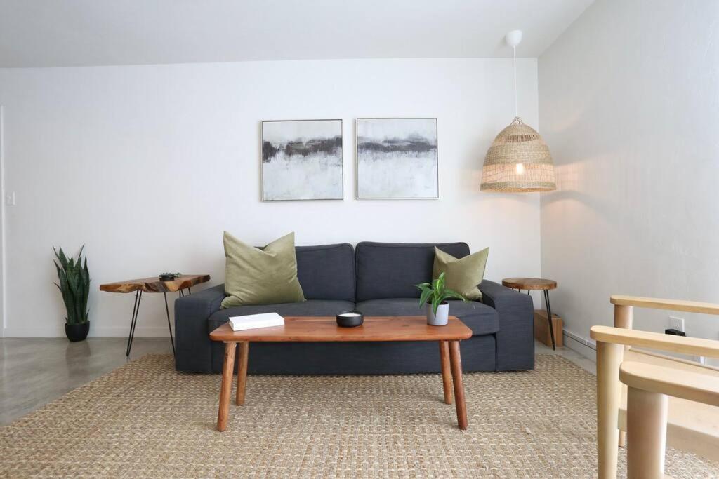 Concrete Suite 5 Min Walk To Shands Uf Гейнсвил Екстериор снимка